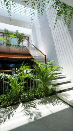 Holi - Gardening Terrace House